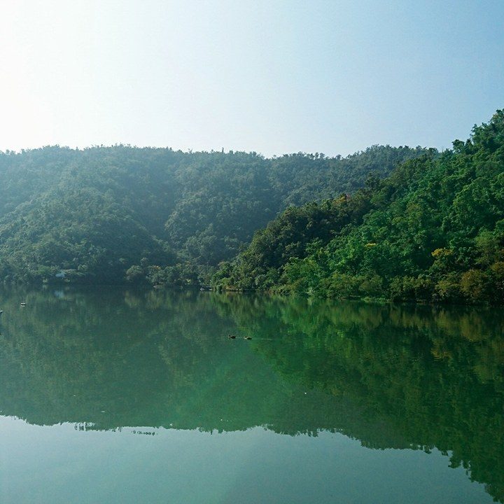 聽湖小管家